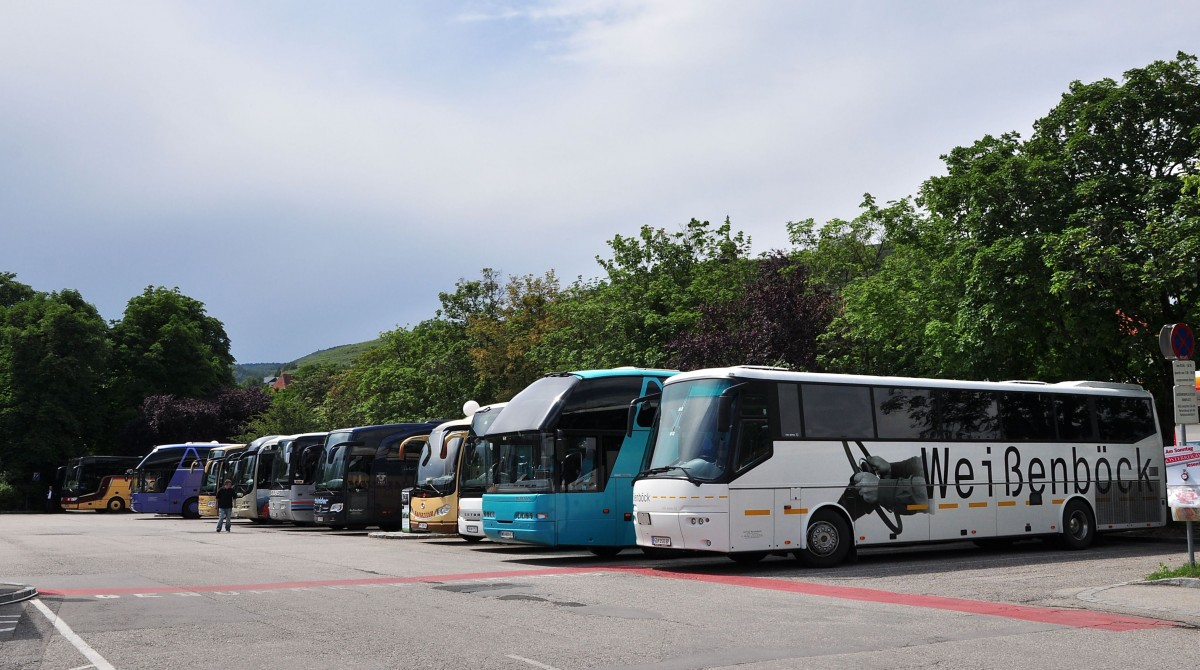 Busparade in Krems am 31.5.2014.Rechts ein VDL Bova von Weissenbck aus sterreich.