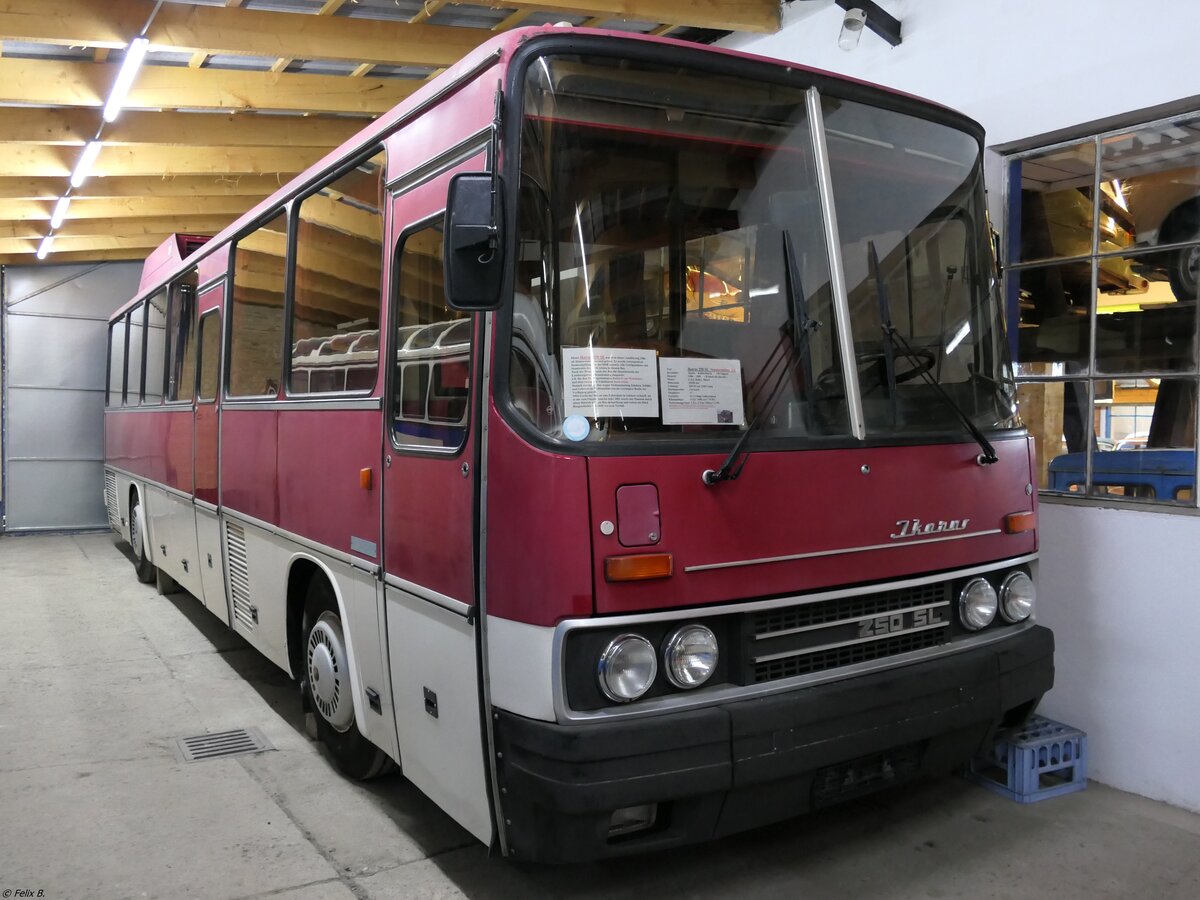 Ikarus 250 SL vom DDR-Museum Dargen (ex Staatsratsbus DDR) in Dargen.