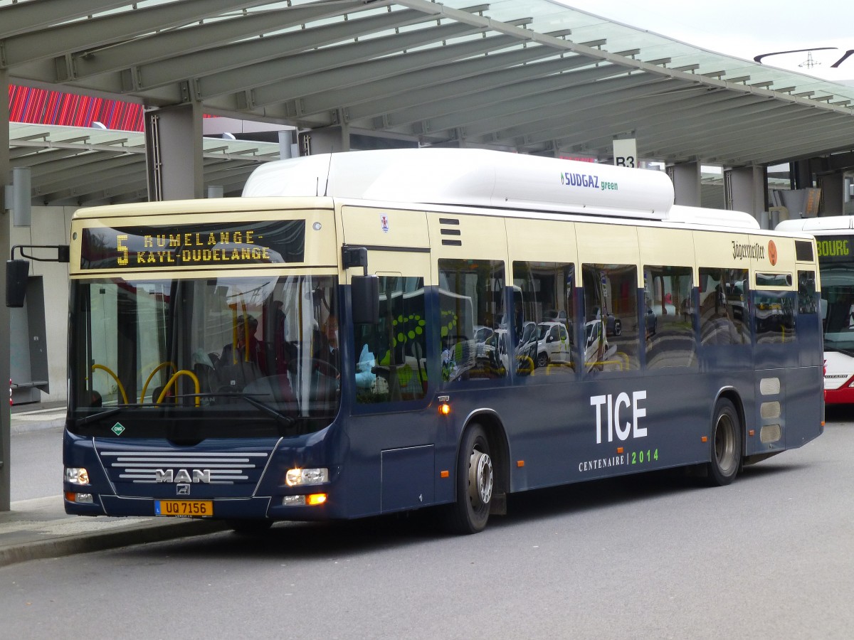 luxemburg-esch-tice-bus-neoman-397610.jpg