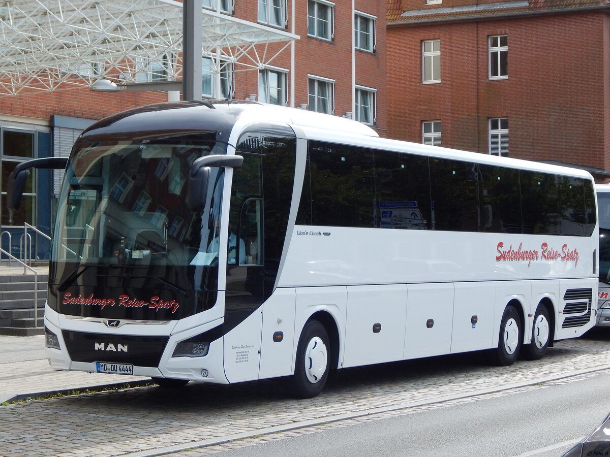 MAN Lion's Coach von Sudenburger Reise-Spatz aus Deutschland in Stralsund.