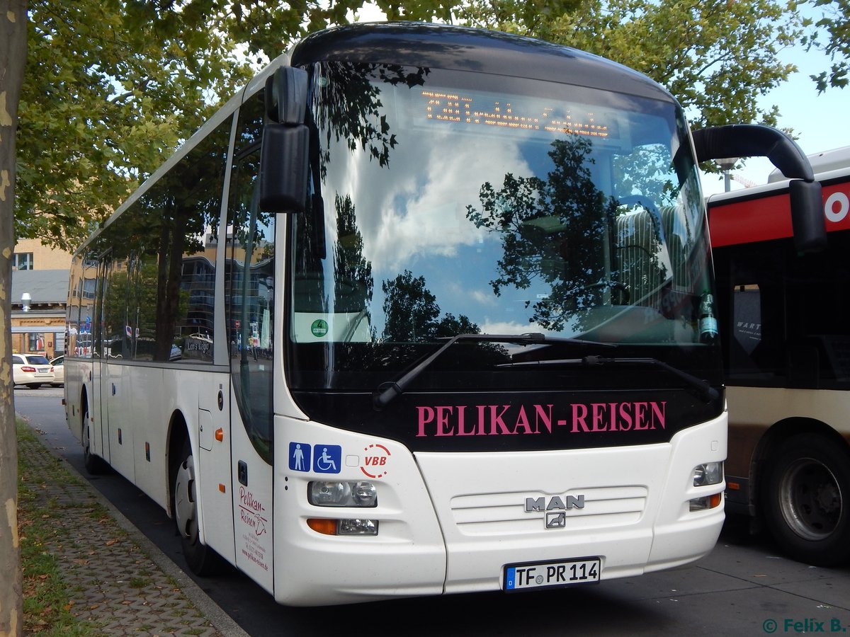MAN Lion's Regio von Pelikan-Reisen aus Deutschland in Potsdam.