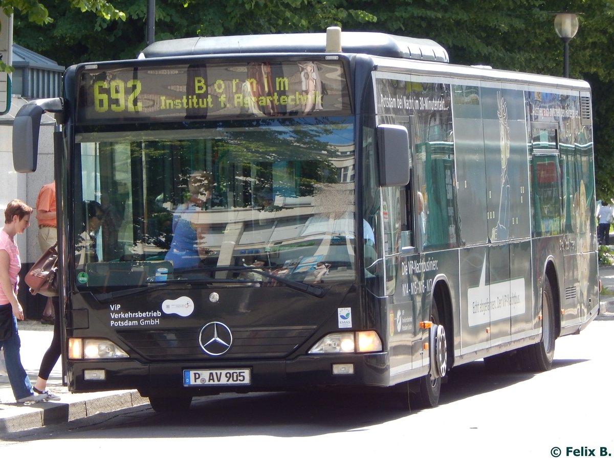 Mercedes Citaro I vom Verkehrsbetrieb Potsdam in Potsdam.