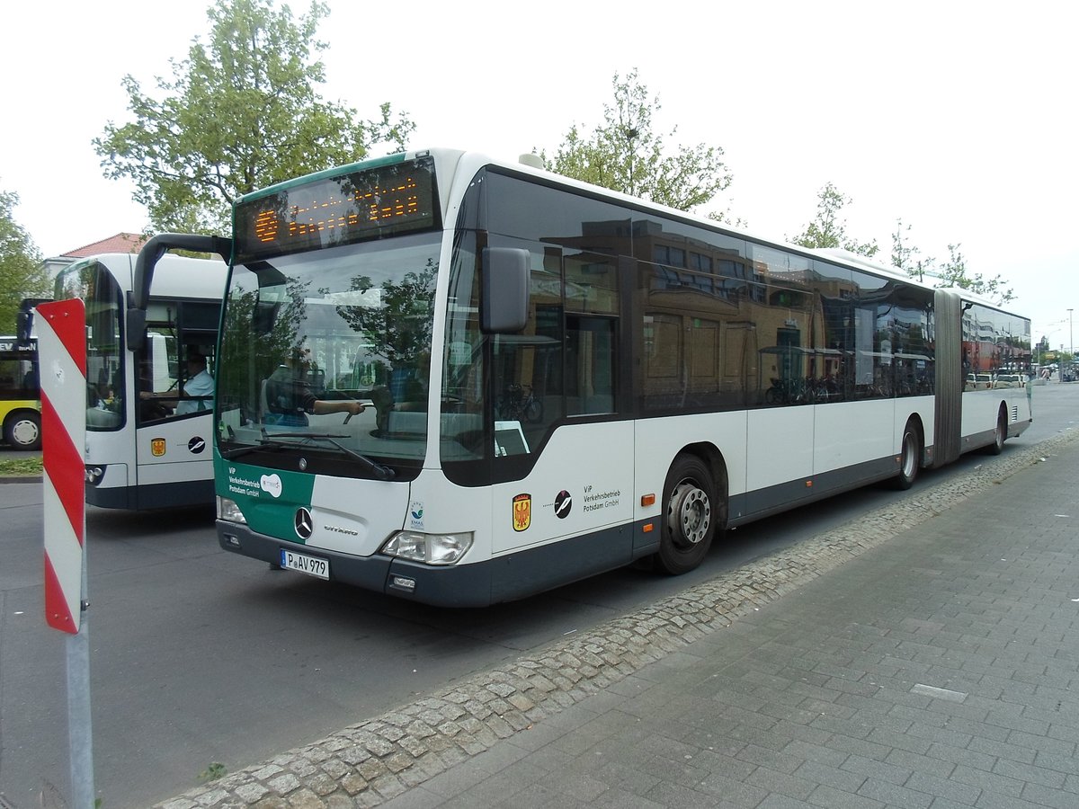 Potsdam,Bus der  verkehrsbetriebe Potsdam  aufgenommen 2013:06:13