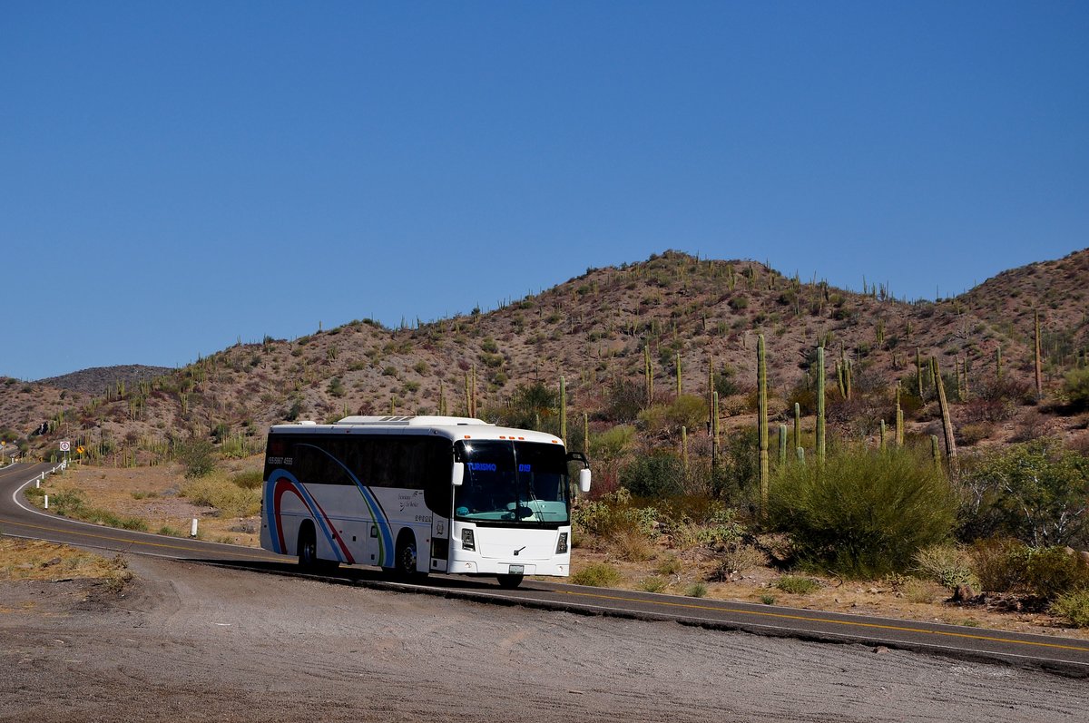 Volvo Bus fr Touristen auf der Route Nr.1 in der Baja California Sur in Mexico gesehen,Mrz 2016