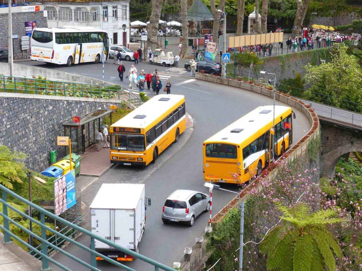 Volvo Camus als Linienbusse unterwegs in Funchal/Madeira im Mrz 2015