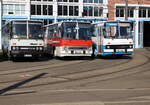 ikarus-200er-serie/738931/am-abend-des-17072021-waren-die Am Abend des 17.07.2021 waren die 3x historischen Ikarus Busse auf dem Gelnde der Rostocker Straenbahn AG zu Gast