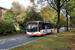 mercedes-benz-citaro-ii-facelift/636273/ge-rn-170-auf-der-goldbergstrasse-in GE-RN 170 auf der Goldbergstrae in Gelsenkirchen-Buer. Der Bus ist im Einsatz auf der Linie 244 nach GE-Hassel, Friedhof am 28.10.2018.