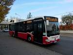 Mercedes Citaro Linienbus vom Autobusunternehmen Gschwindl aus sterreich in Wien.