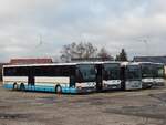 iveco-irisbus-crossway/746728/setra-319-ul-und-setra-315 Setra 319 UL und Setra 315 UL und Iveceo Crossway der MVVG in Altentreptow.