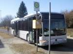 bergen-ruegener-personennahverkehr-gmbh-rpnv/325945/mercedes-citaro-le-ue-als-leasingbus Mercedes Citaro LE  als Leasingbus in Sassnitz.