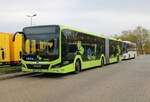 guestrow-regionalbus-rostock-gmbh-rebus/792484/man-rebus-stand-am-06112022-am MAN Rebus stand am 06.11.2022 am ZOB in Hhe Rostock Hbf/Sd.