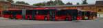 Eine Reihe ORN-Busse: MAN Lions City GÜ, MB Citaro GÜ, MAN Lions City und MB Intouro). Aufgenommen am 15.09.2014 auf dem Betriebshof der ORN in Mainz.