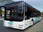 EIC R 112 M.a.n. Lions City der EW Bus GmbH am ZOB in Heilbad Heiligenstadt