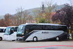 wien-blaguss-reisen-gmbh/598180/setra-515-hd-von-blaguss-reisen Setra 515 HD von Blaguss Reisen aus sterreich in Krems.