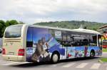 wien-oebb-postbus-gmbh/381168/man-lions-regio-von-der-oebbpostbus MAN Lions Regio von der BB/Postbus am 31.5.2014 in Krems unterwegs.