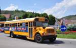 Blue Bird ... Hassel Blomm 4.6.2017 15:29 Blue Bird ... Hassel Blomm 4.6.2017 15:29