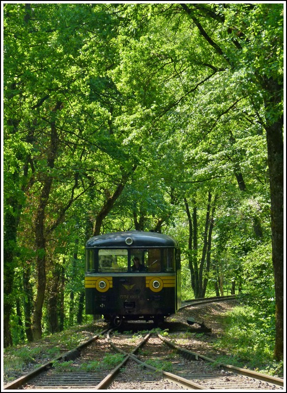 - Ein Uerdinger im Wald - Der Triebwagen 551 669 (ex Chemin de Fer des 3 Valles, ex DB VT95 669) erreicht am 01.05.2011 die Kreuzungsstelle Fuussbsch der Museumsstrecke Train 1900. (Jeanny)