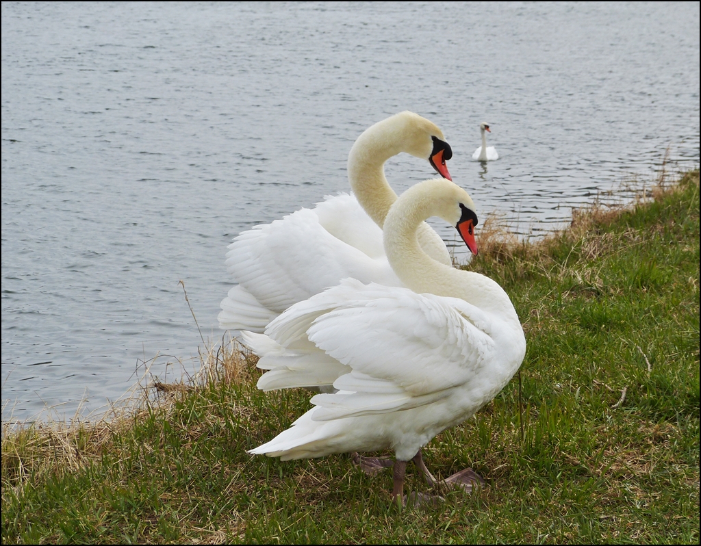 . Fr�hlingsgef�hle. 08.04.2013 (Jeanny)