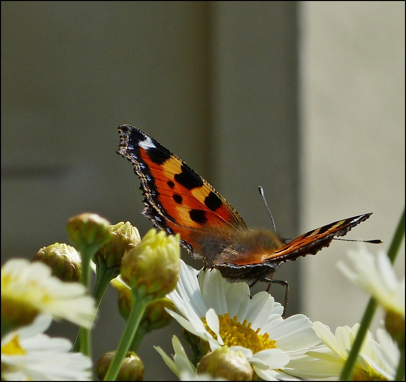 . Kurz vor dem Abflug. 10.07.2013 (Jeanny)