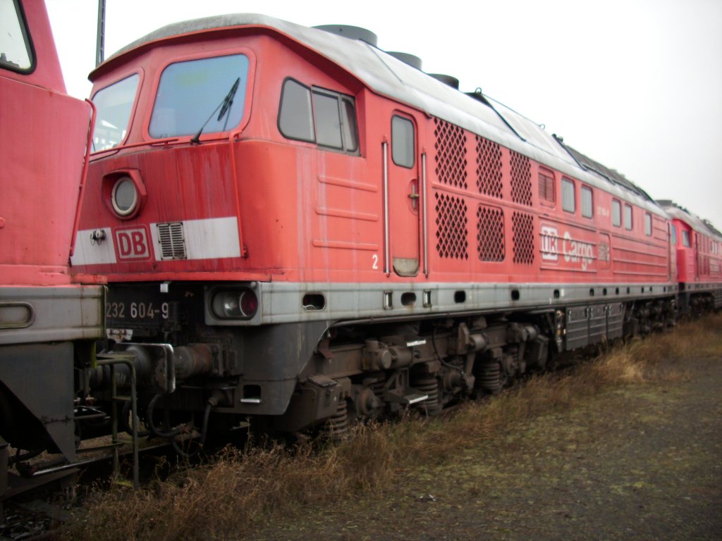 232 604-9 ex.Bh Halle G. am 24.Januar 2009 in Mukran West.Zur Verschrottung am 23.M�rz 2010 abgefahren.