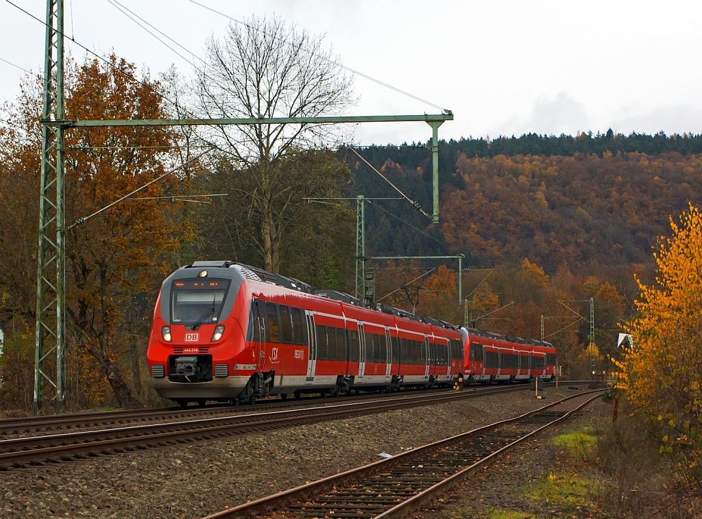 442 256 und 442 254 (Zwei gekuppelte 4-teilige Talent 2) fhrt am 11.11.2012 als RE 9 (rsx - Rhein-Sieg-Express) Siegen - Kln - Aachen in Richtung Kln, hier bei Betzdorf-Bruche. Trotz dem heutigen Sonntag ist der Triebzug schon hier gut gefllt, denn in Kln ist was los, der Karneval ist erffnet.