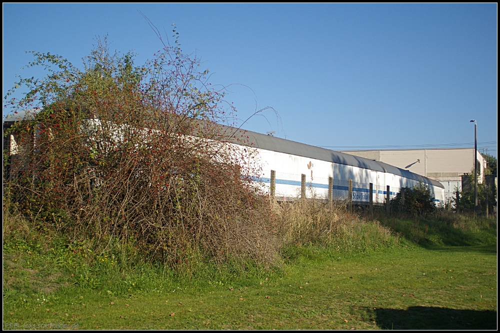 Abseits vom Bw-Gel�nde standen auf einem extra Areal vier Wagen des ehemaligen Show-Train. Die Wagen dienten als Promotion- und Eventplattform (gesehen Bw-Fest Lutherstadt Wittenberg 10.10.2010)