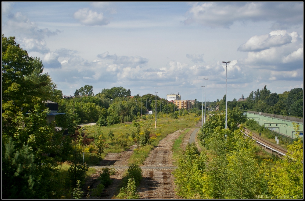 Blick auf den alten Gterbahnhof Tegel. Links lugt durch das Blattwerk das Stellwerk Tegel (Tgl), rechts ist die S-Bahntrasse und die Autobahn A111 zu erkennen (Berlin tegel 23.08.2012)