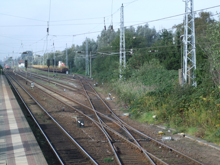 Blick in meinem Revier Rostock-Bramow im Hintergrund steht seit 2 Wochen der Leerzug von Stendal-Niedergrne.(06.10.10)