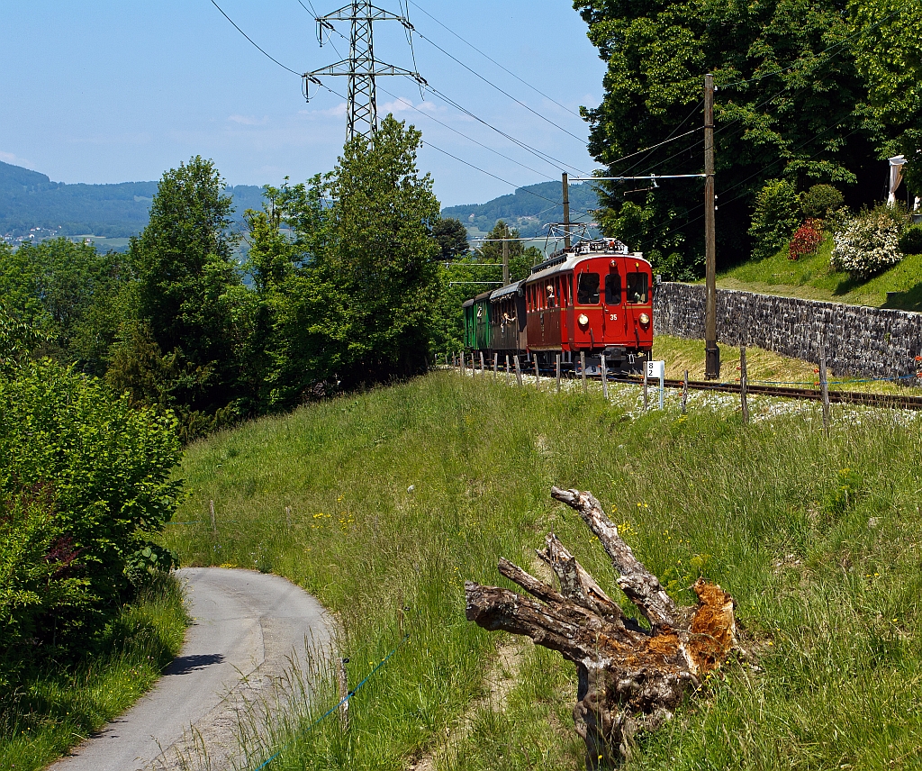 
Da kommt er - Der ex RhB Triebwagen ABe 4/4 I Nr. 35 der Museumsbahn Blonay–Chamby, fährt am 27.05.2012 von Blonay, mit 3 angehängten Wagen (die Originalität etwas trüben) hinauf nach Chamby, hier bei Chaulin. Der Triebwagen wurde 1908 Ursprünglich als BCe 4/4 10 von SIG / Alioth für die Berninabahn gebaut, 1943 übernahm die Rhätischen Bahn (RhB) die Berninabahn und ließ ihn 1949 in den heutigen ABe 4/4I No. 35 umbauen. Der Triebwagen hat eine Höchstgeschwindigkeit von 55 km/h und Dauerleistung 395 kW.