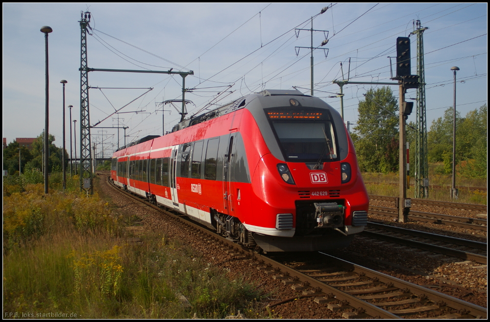 DB Regio 442 129 / 442 629 am 17.09.2012 als RB22 zum Endhalt in Berlin Sch�nefeld Flughafen