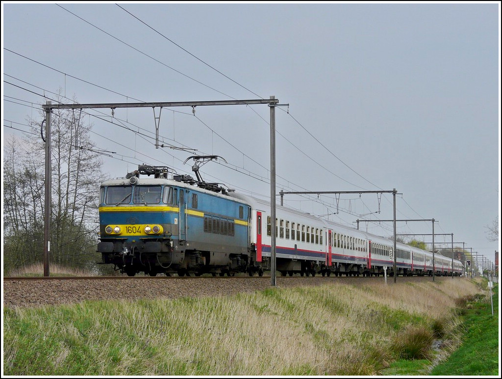 Die Srie 16: 1966 war die Linie Brssel-Kln vollstndig elektrifiziert und die SNCB bentigte Lokomotiven, welche unter 4 verschiedenen Stromsystemen fahren konnten. Aus der vor 3 Jahren gebauten Srie 15 wurde die Srie 16 (Typ 160) abgeleitet, der wichtigste Unterschied bestand darin, dass diese Loks nun unter den 4 Stromsystemen fahren konnten: 3 kV (Belgien), 1.5 kV (Niederlande/Frankreich), 25 kV (Frankreich) und 15 kV (Deutschland). 

Seit ihrer Auslieferung wurden die Loks der Srie 16 auf der Linie Oostende-Brssel-Kln  eingesetzt. Sie erledigten aber auch die Verbindungen Brssel-Paris und Brssel-Luxemburg. 1974 wurden die HLE 1601 und 1602 mit einem vierten kleineren Stromabnehmer ausgestattet, welcher ihnen erlaubte bis in die Schweiz nach Spiez zu fahren. Dieser Zug trug den schnen Namen „Freccia del Sole“ und stellte die lngste Strecke dar, die je von belgischen Lokomotiven bewltigt wurde. 1975 wurde er aber gekrzt und fuhr nur noch bis Basel, bevor er 1978 ganz eingestellt wurde. Die Loks der Srie 16 zogen auerdem die internationale Zge Jan Kiepura  und den EN Donauwalzer. 

Nachdem die Linie Oostende-Brssel-Kln am 15. Dezember 2002 eingestellt wurde, waren die Loks der Srie 16 arbeitslos, bevor sie kurze Zeit spter die Verstrkungszge (trains P) Oostende-Schaerbeek und Welkenraedt-Brssel bernahmen, bis sie 2010 definitiv aus dem Verkehr gezogen wurden.  Auch von dieser Srie werden 2 Exemplare fr die Nachwelt erhalten bleiben: die HLE 1602 von der SNCB Holding und die HLE 1608 vom Verein PFT-TSP. 

Das Bild zeigt die HLE 1604 bei einem ihrer letzten Einstze, dem Ziehen des Verstrkungszuges Schaerbeek-Oostende in Hansbeke am 10.04.2009. (Jeanny)