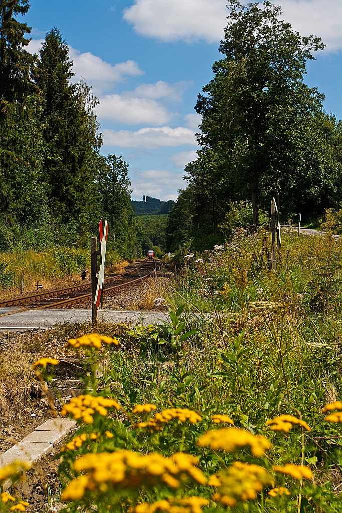 Ein Blick auf die Rothaarbahn KBS 443 am 11.08.2012 einem unbeschrankten Bahnbergang in Kreutztal-Ferndorf, ganz hinten kommt ein LINT 27 (640 008) aus Bad Berleburg ber Erntebrck und Hilchenbach.