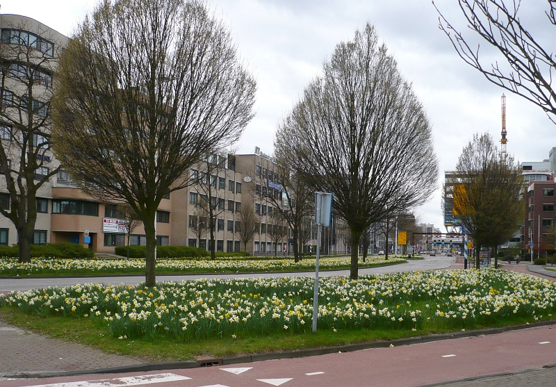 Frhling. Schipholweg Leiden 05-04-2010.