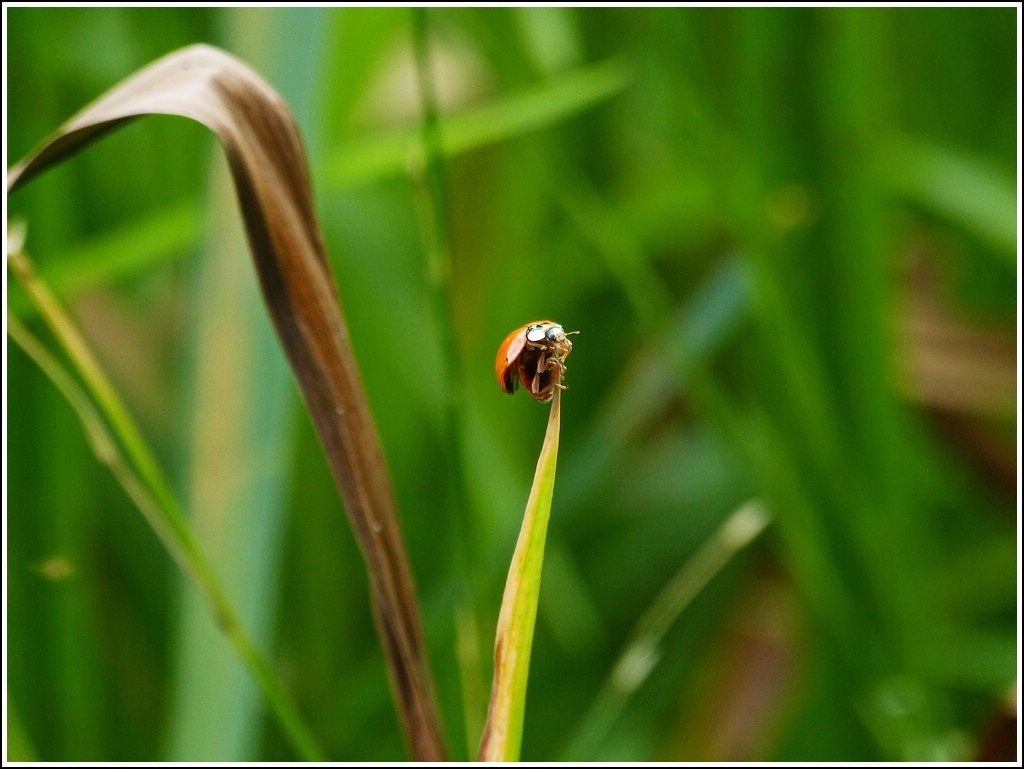 Hier ist Schluss. 31.07.2012 (Hans)