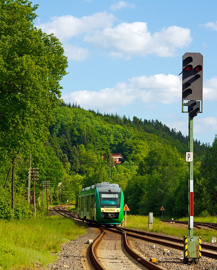 In den grnen Wldern des Westerwaldes....
Der VT 261 (95 80 0648 161-7/661-6 D-VCT) der vectus Verkehrsgesellschaft mbH am 04.06.2013 kurz vor der Einfahrt in den Bahnhof Nistertal / Bad Marienberg (frher Bf Erbach/Westerwald). 
Er fhrt als RB 28 auf der Oberwesterwaldbahn (KBS 461) die Verbindung Limburg(Lahn) - Westerburg - Hachenburg - Altenkirchen - Au (Sieg).