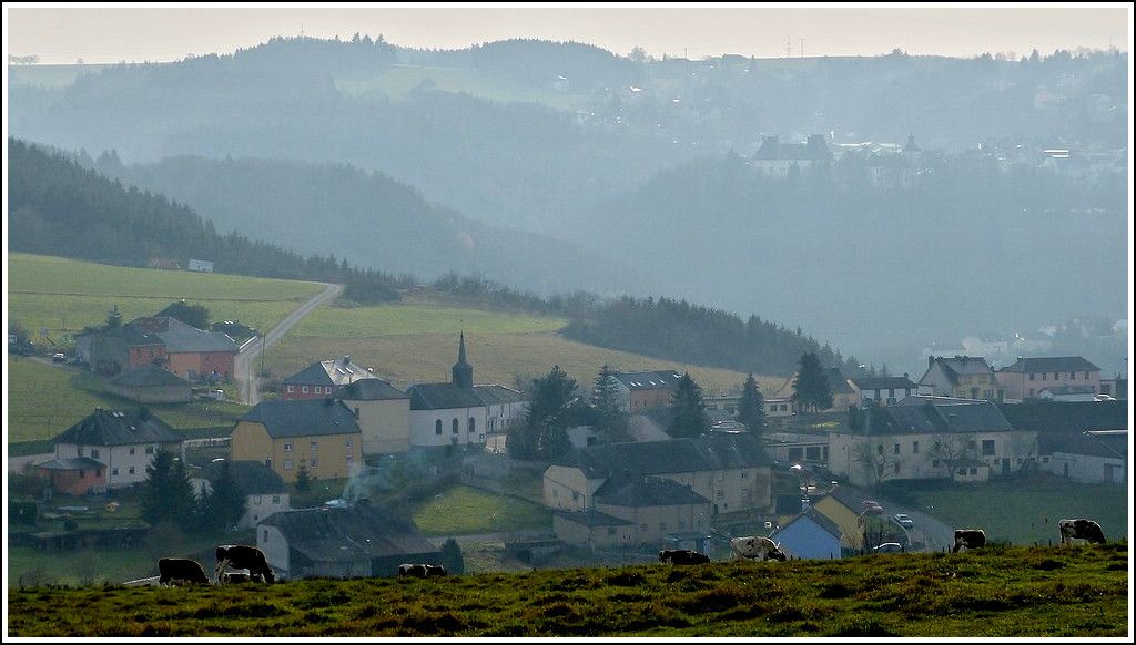 L�ndliches Erpeldange. 24.11.2011 (Jeanny)