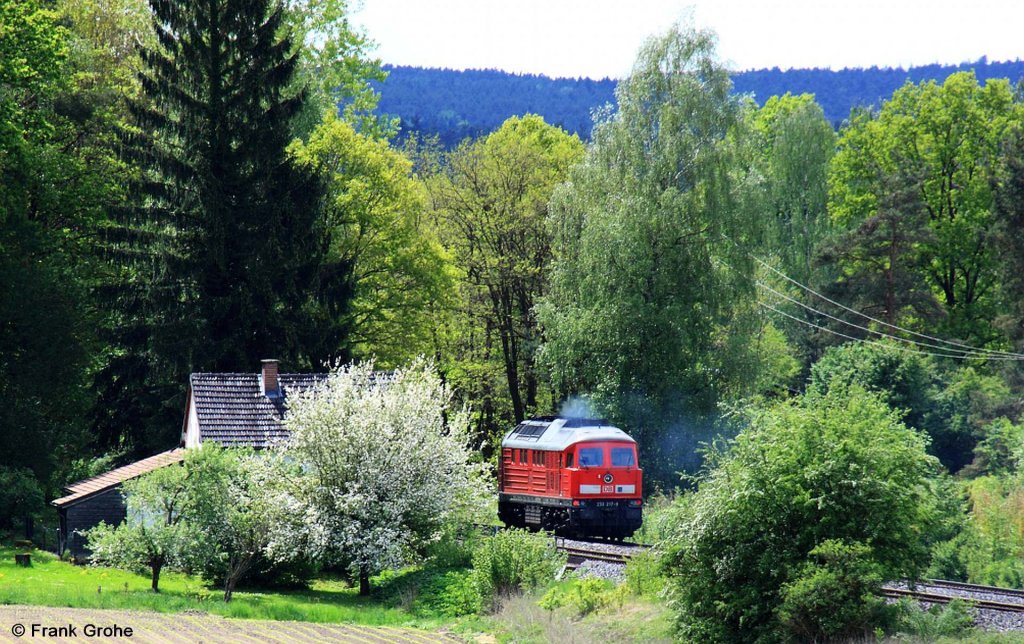  Ludmilla  versteckt sich im Wald --> DB 233 217-9 auf Leerfahrt Richtung Regensburg, KBS 855 Hof - Regensburg, fotografiert bei Ponholz am 09.05.2012 