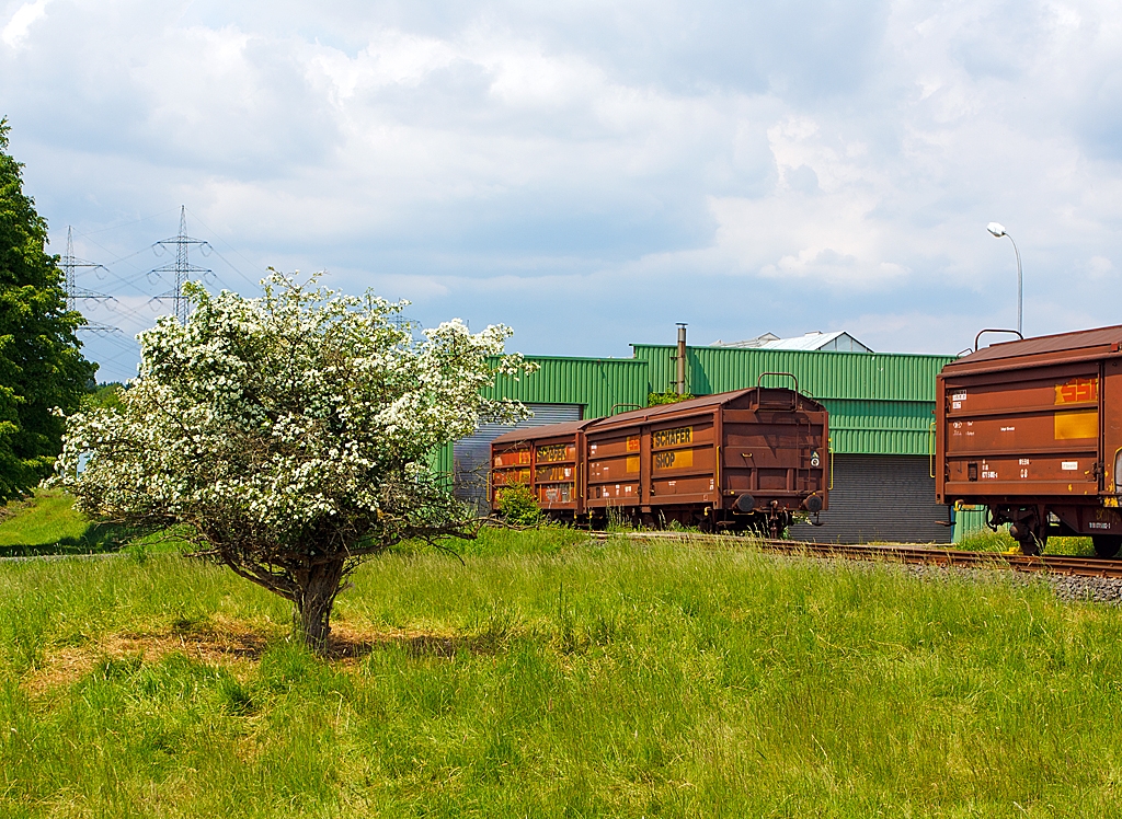 Private gedeckte Gterwagen mit Schiebewnden und Schiebedach der Gattung Tbis 869 - Bauform A der Westerwald WEBA abgestellt am 08.06,2013 in Weitefeld am Werksanschluss. 
Links unbek., Mitte WEBA 07 (ex 10 80 DB 071 5 001-5) und Rechts WEBA 08 (ex 10 80 DB 071 5 002-3).
Technische Daten:
Lnge ber Puffer: 14.020 mm
Ladelnge:12.774 mm
Ladebreite: 2.670 mm
Radstand: 8.000 mm
Eigengewicht: 18,5 bzw. 18,3 t
Ladeflche: 33,0 m