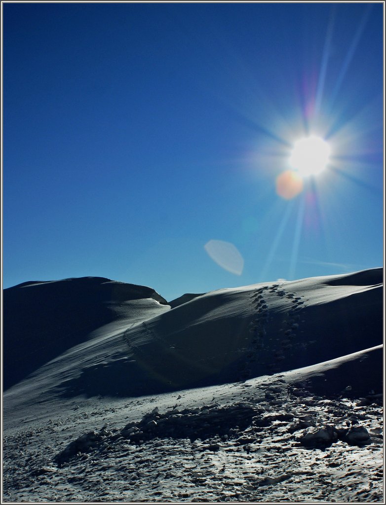 Spuren im Schnee.
(12.01.2012)