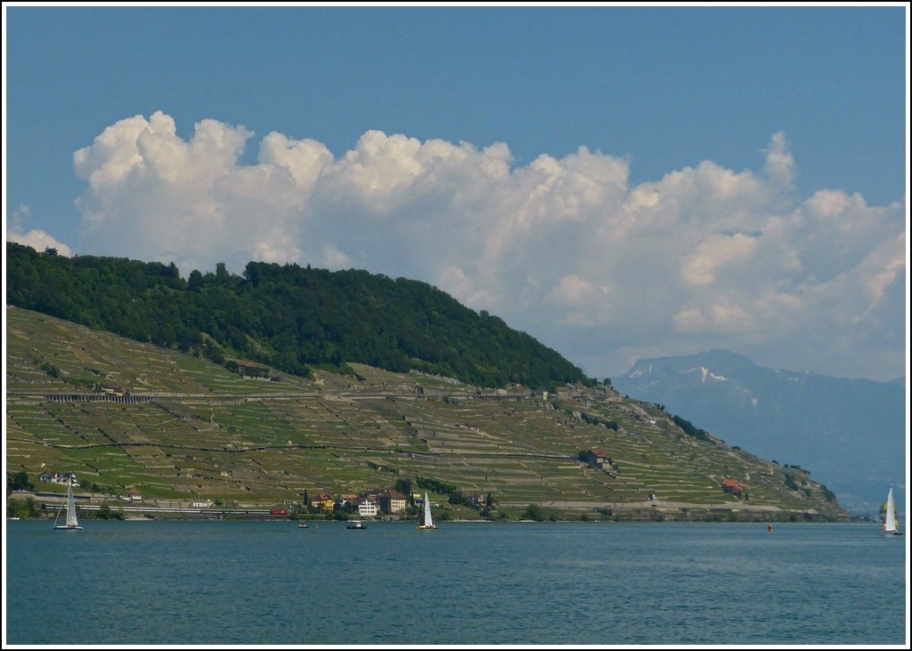 Suche den Zug: Ein IR Genve-Brig fhrt zwischen Cully und Lutry an den wunderschnen Weinbergterrassen des Lavaux vorbei, aufgenommen vom Schiff LA SUISSE auf dem Genfersee. Auf diesem Bild ist auch so einiges vereint, was wir an diesem herrlichen Tag erlebt haben, inklusive der Rochers de Naye. 26.05.2012 (Jeanny)