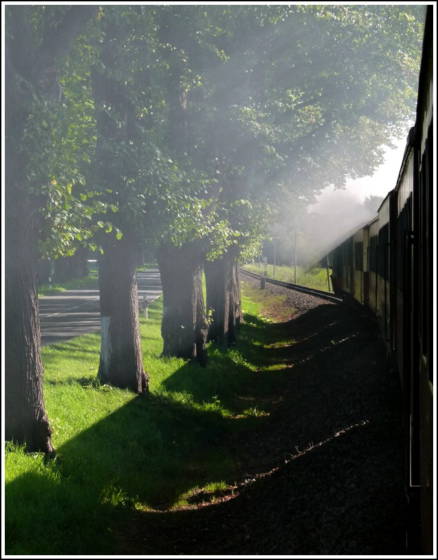 Voil�, das Resultat. 25.09.2011 (Jeanny)