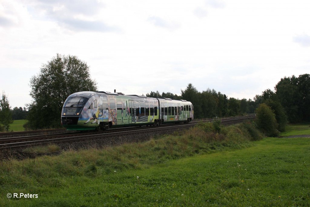 VT04 als VBG81120 Regensburg - Hof bei Schnfeld. 23.09.11