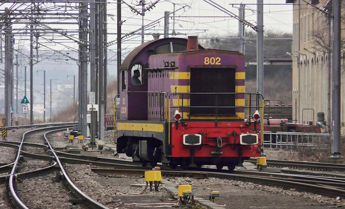 . Aus dem Archiv - Die Diesellok 802 druchfhrt am 24.02.2009 den Bahnhof von Ptange. Das war das letzte Mal, dass wir den Einsatz einer 800er erlebt und fotografiert haben. (Jeanny) 