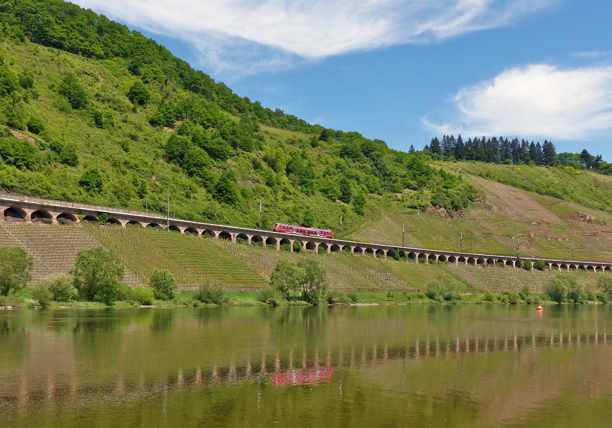 . Der Baby-Hamster 442 003  Nittel  befhrt als RB 81 Koblenz - Trier den Pndericher Hangviadukt gegenber dem hbschen Moselort Pnderich. 13.05.2015 (Jeanny)