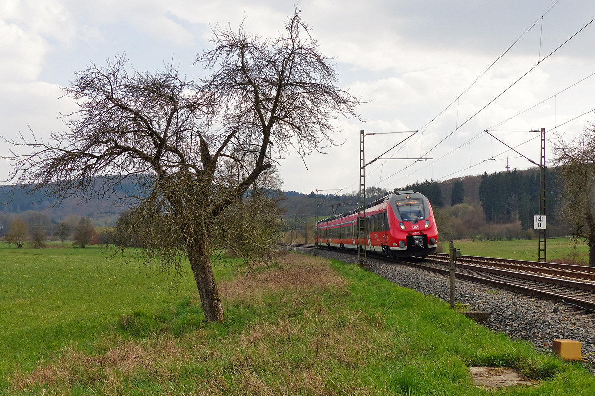 . Ein Bild fr Margaretha - An der tollen Fotostelle zwischen Ehringshausen und Daubhausen konnte ich am 10.04.2016 den Triebzug 442 285 zusammen mit dem schnen alten Baum fotografieren. Dort mssen wir noch mal hin, nur die Klappsthle drfen wir nicht vergessen. ;-) (Jeanny)