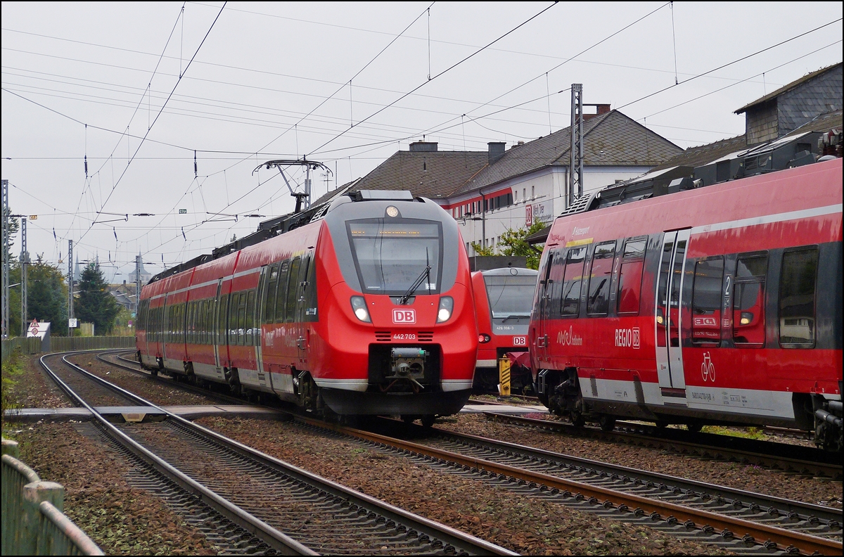 . Ein Hamster (442 703) fhrt am 05.10.2013 in der Nhe des BW Trier an abgestellten Zgen vorbei. (Hans)