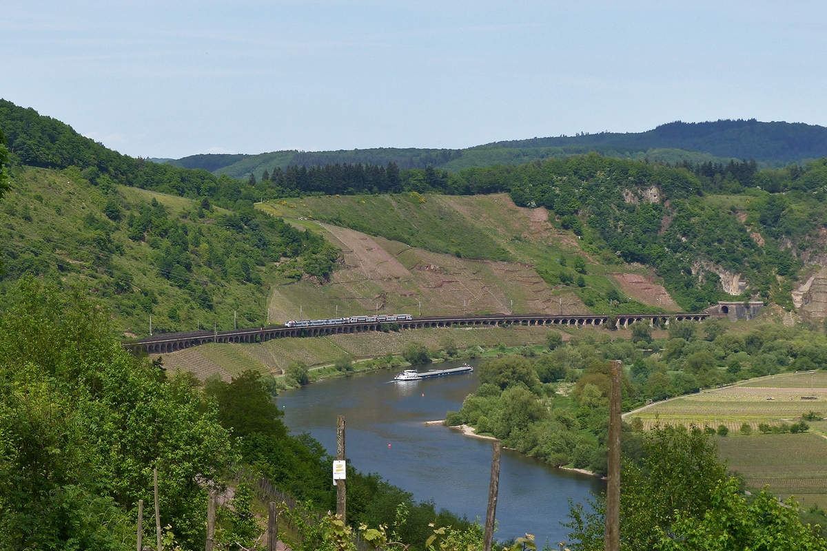 . In den Weinbergen in Reil an der Mosel hat man eine herrliche Ausssicht auf den Pndericher Hangviadukt - Ein Schiff auf der Mosel vervollstndigt noch das Bild, wenn die gekuppelten DB Regio Swex und CFL KISS den Pndericher Hangviadukt befahren auf ihrer Reise von Koblenz nach Trier (bzw. Luxembourg). 13.05.2015 (Jeanny)