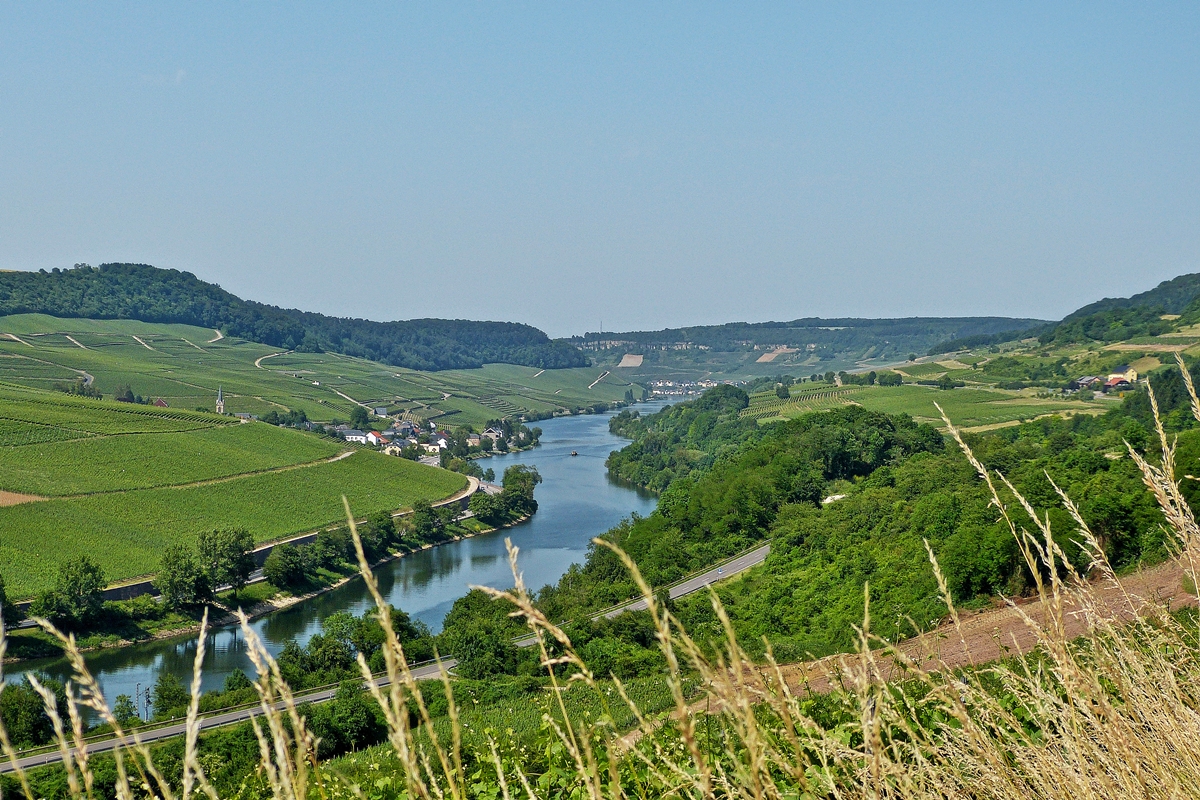 . So schn kann es an der Mosel sein. Wincheringen, 09.06.2014 (Jeanny)