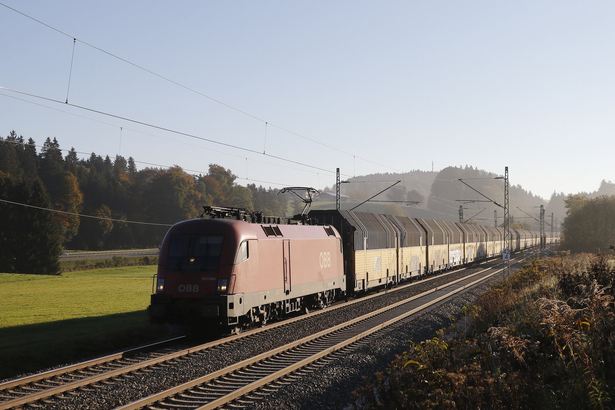 1016 004 mit einem Autozug am 10. Oktober 2018 bei Grabenst�tt.