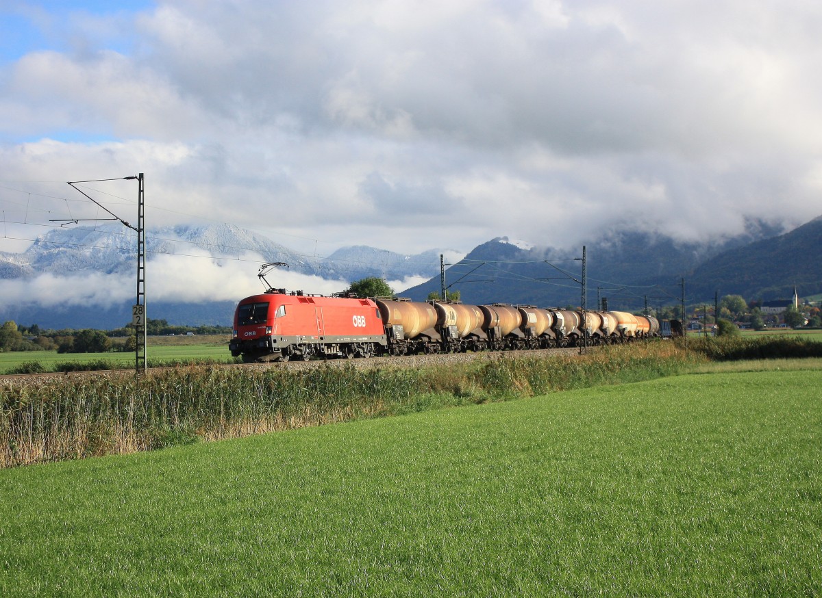 1016 029-9 mit einem gemischten G�terzug am 11. Oktober 2013 bei Bernau am Chiemsee.